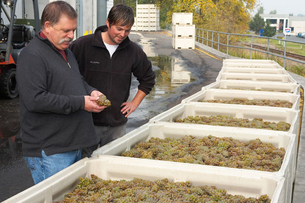 Columbia Valley Harvest 2012:  Midway Report
