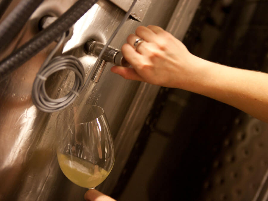 Washington Winemaking