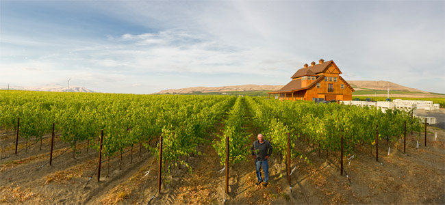 Ciel du Cheval Vineyard on Red Mountain in Washington State